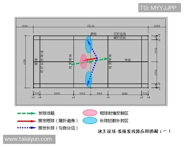 上海羽毛球队反击战术解析与实战应用探讨