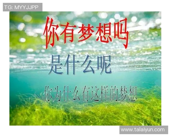 乒乓球场上的奋斗与梦想吴伟的深度人生对话与启示